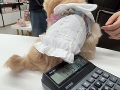 -全心全意动物诊疗中心医院(北苑店)
