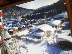 -山里屯铁锅炖·东北菜(康桥店)