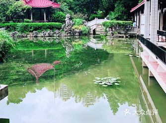 隐藏在老城区别致的小公园