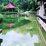 隐藏在老城区别致的小公园