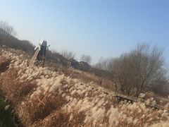 -长兴太湖图影湿地文化园