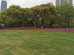 -北外滩滨江绿地