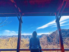 -大岭沟猕猴桃谷风景区