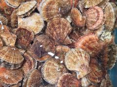 -和源祥·日照菜扛把子(万平口一店)