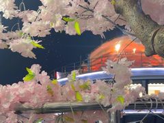 -武汉两江游览·夜游长江(汉口粤汉码头)
