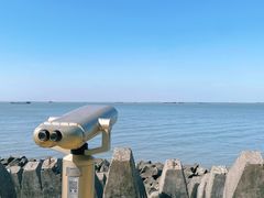 -上海滨江森林公园