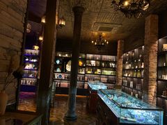 -雪灵魔法世界SHELLY’S TAROT(大良桂畔里店)