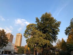 -南京双门楼宾馆(盐仓桥地铁站阅江楼店)