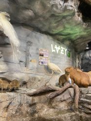 -Zoolung Zoolung动物主题公园(海信广场店)