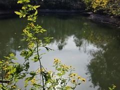 -井塘古村