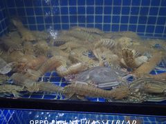 -温州炎亭海鲜阁(万塘路店)