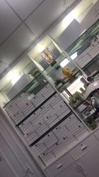 -蕾特恩专业祛痘