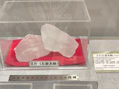-北京中医药大学-中医药博物馆