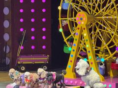 -珠海横琴长隆《卡卡虎奇遇记》