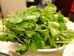香菜-太婆天府山珍酒楼(亚运村店)