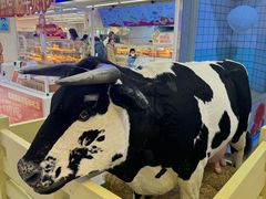 -红星前进面包牛奶公司(君太店)