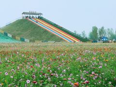 -枫林花海