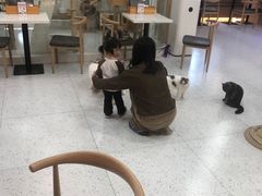 -喵园·猫主题咖啡厅·撸猫·猫咖(国贸店)