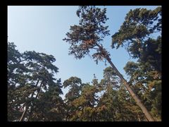 -北陵公园