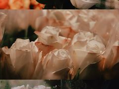 -循礼门鲜花花市(武汉循礼门店)