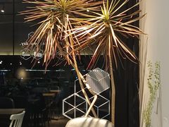 -Maxpoint Kitchen 西餐咖啡(乐峰广场店)