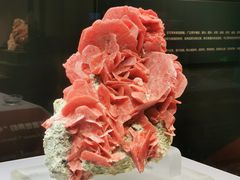 -湖南省地质博物馆