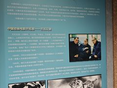 -上海动漫博物馆