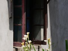 -浏河古镇
