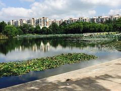 景点-新江湾城公园