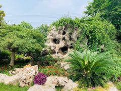 -荆川公园