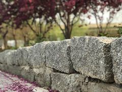 -永定河休闲森林公园