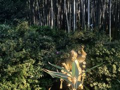 -杭州黄龙洞