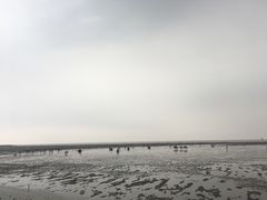 -碧海金沙
