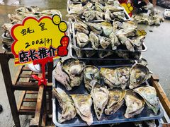 生蚝-蚝专家(北滘店)