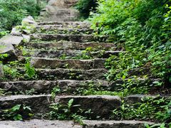 -大岭沟猕猴桃谷风景区