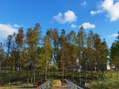 -牛岗山公园