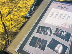 -逃脱反斗城沉浸剧情密室(阳光新业中心店)