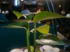 -青叶202都市餐厅(迪诺水镇店)