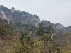 -秦岭天竺山景区