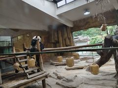 -常州淹城野生动物世界