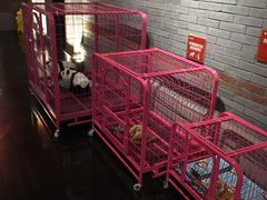 -唯尚主题式KTV(红谷滩店)