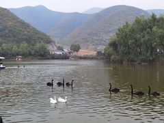 -静之湖度假区