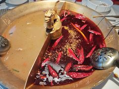 -小龙翻大江文化火锅(宽窄店)