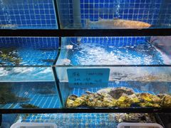 -火龙堂·风味民间菜(文一路店)