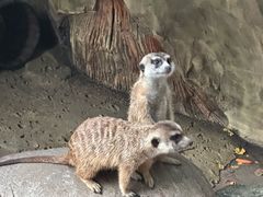 -长鹿旅游休博园