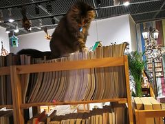 -小时光咖啡馆(开森度假森林店)