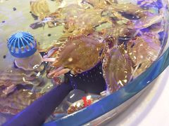 -澜悦港海鲜体验主题餐厅