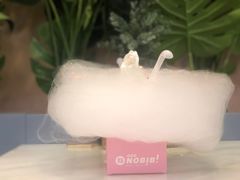 -NOBiBi