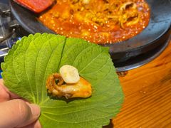 -红辣椒八爪鱼特色韩国料理