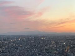 -东京都厅舍
